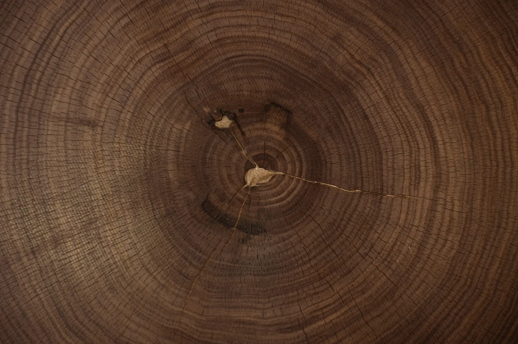 Architekten und Handwerker vertrauen weltweit auf Hobb-Holzprodukte. Architekten und Handwerker vertrauen weltweit auf Hobb-Holzprodukte.