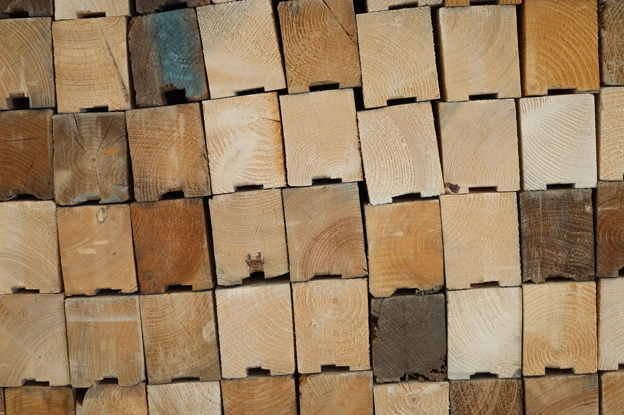 Architekten und Handwerker vertrauen weltweit auf Hobb-Holzprodukte.